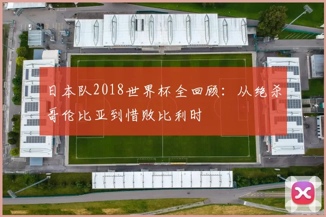 日本队2018世界杯全回顾：从绝杀哥伦比亚到惜败比利时