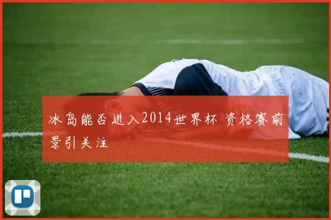 冰岛能否进入2014世界杯 资格赛前景引关注