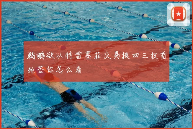 鹈鹕欲以特雷墨菲交易换回三枚首轮签你怎么看