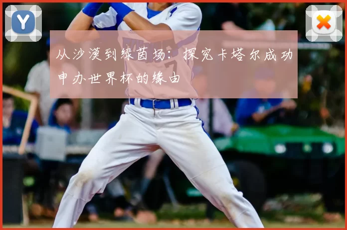从沙漠到绿茵场：探究卡塔尔成功申办世界杯的缘由
