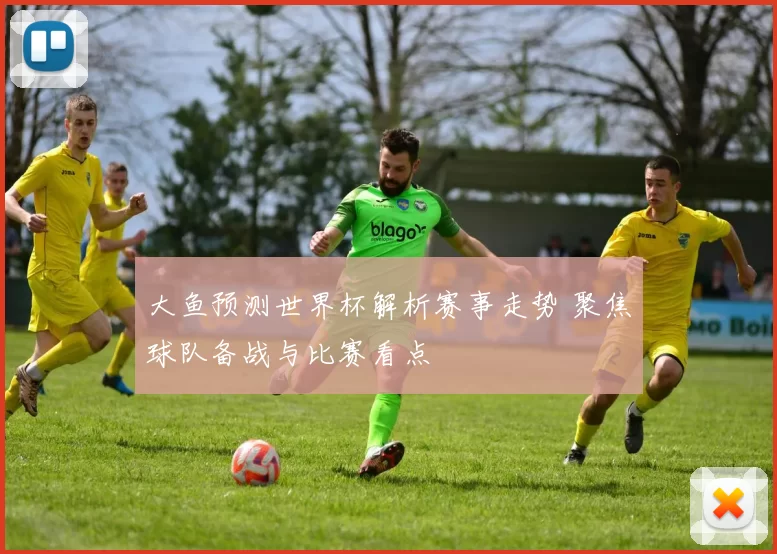 大鱼预测世界杯解析赛事走势 聚焦球队备战与比赛看点