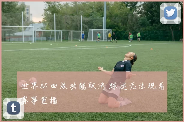 世界杯回放功能取消 球迷无法观看赛事重播