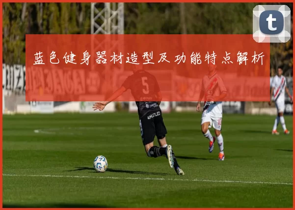 蓝色健身器材造型及功能特点解析