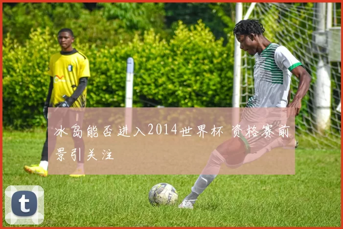 冰岛能否进入2014世界杯 资格赛前景引关注