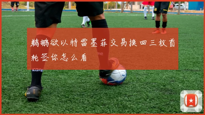 鹈鹕欲以特雷墨菲交易换回三枚首轮签你怎么看