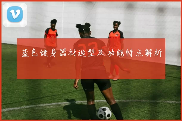蓝色健身器材造型及功能特点解析