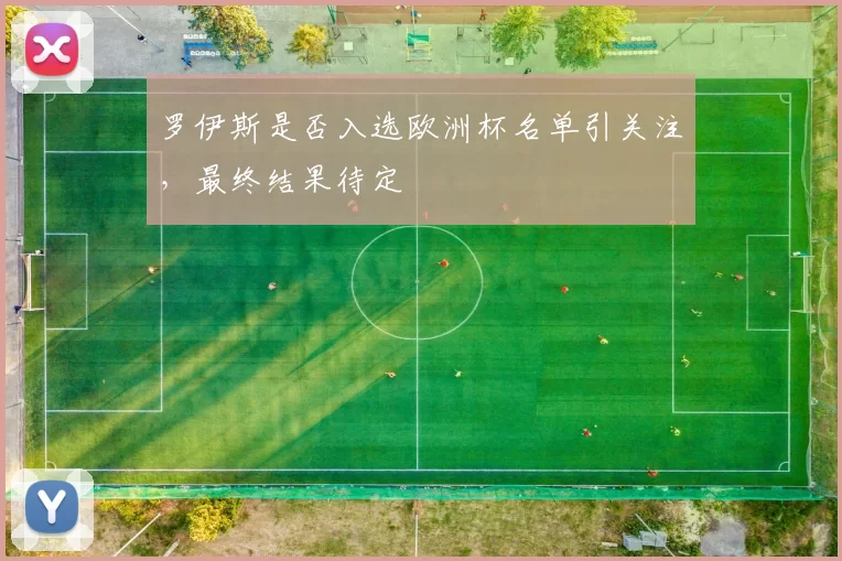 罗伊斯是否入选欧洲杯名单引关注,最终结果待定