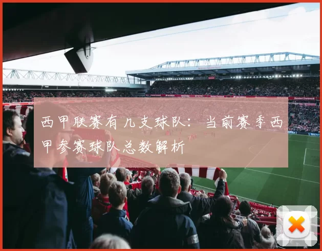西甲联赛有几支球队：当前赛季西甲参赛球队总数解析