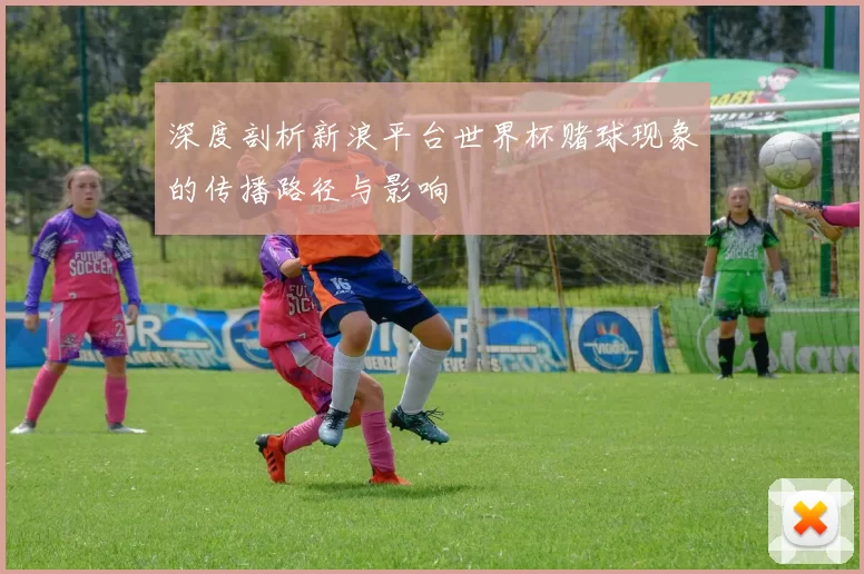 深度剖析新浪平台世界杯赌球现象的传播路径与影响