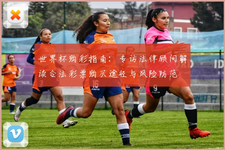 世界杯购彩指南:专访法律顾问解读合法彩票购买途径与风险防范