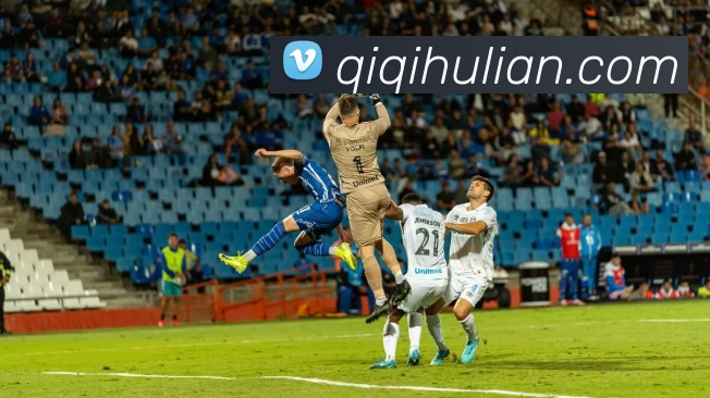 博亚官网APP 封面图